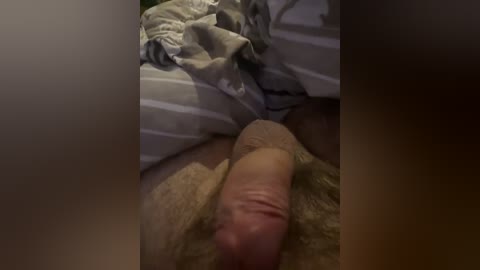 flora8845 free recording from 2025-11-19 21:48:00