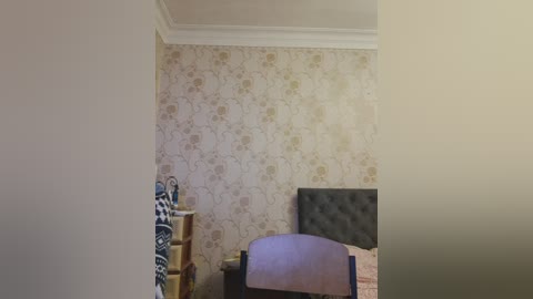 axel_20x free recording from 2025-11-20 18:42:00