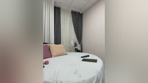 shamelesss free recording from 2025-12-05 01:41:00