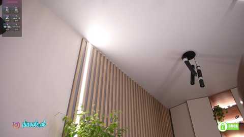 kateline free recording from 2025-11-21 14:54:00