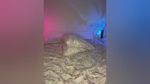 model2021 free recording from 2025-11-22 02:14:00