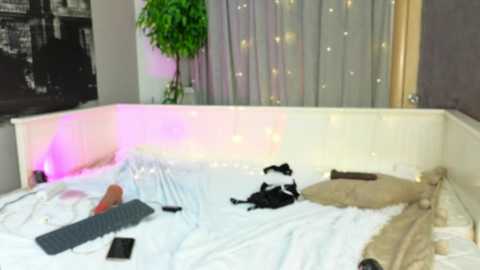 nicolehampton free recording from 2025-11-22 18:16:00