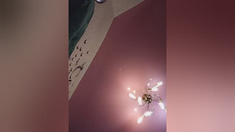 niki233221 free recording from 2026-04-05 01:47:00