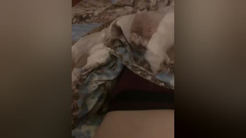 devochka1010 free recording from 2026-04-14 07:06:00