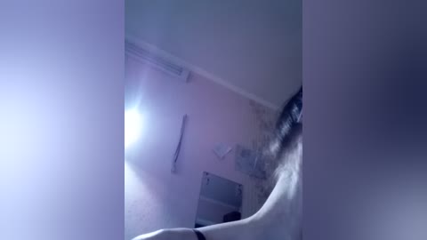 adidascoin free recording from 2025-11-26 06:51:00