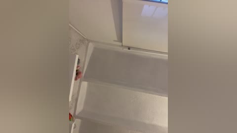 sallyeleins free recording from 2025-11-29 22:48:00