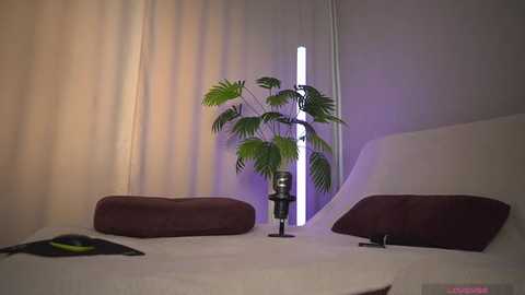 1orgasm1 free recording from 2025-11-30 04:05:00