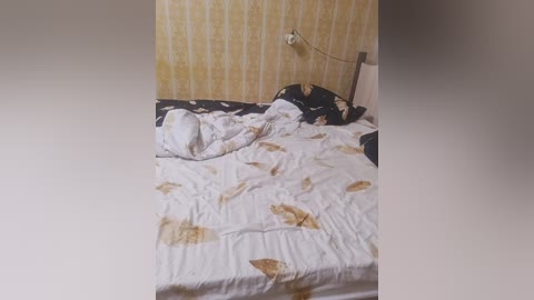 lyda27081 free recording from 2025-11-30 17:24:00