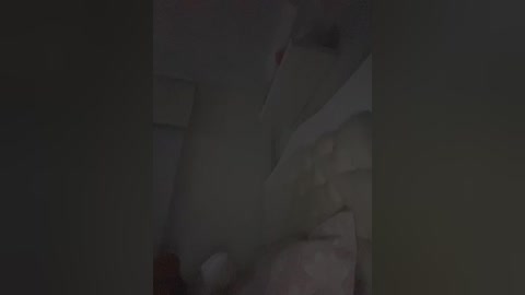 sallyeleins free recording from 2025-11-30 05:24:00