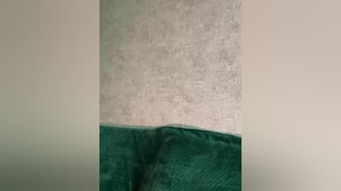 _summer_ free recording from 2025-12-05 01:41:00