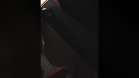 sexycouple69 free recording from 2025-12-02 15:59:00