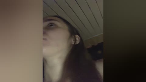 cat_meowa free recording from 2025-12-04 02:10:00