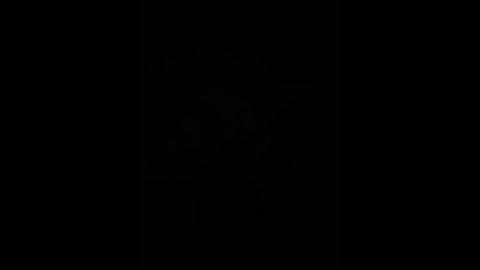 ladyemily free recording from 2025-12-04 18:04:00