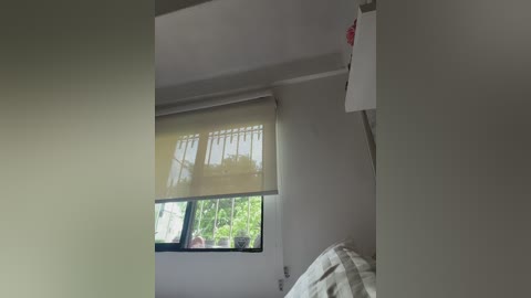 sallyeleins free recording from 2025-12-05 01:41:00