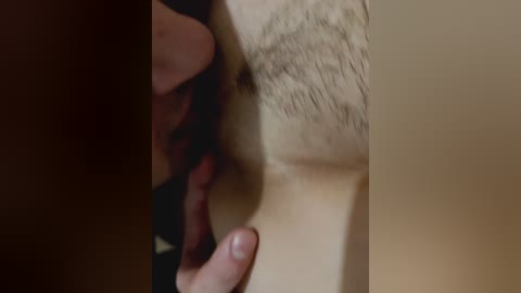 vor_bopl free recording from 2025-12-05 01:41:00