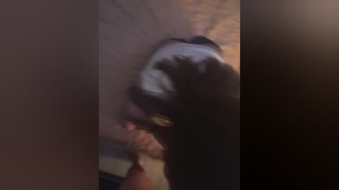 velaskesssz free recording from 2025-12-06 11:42:00