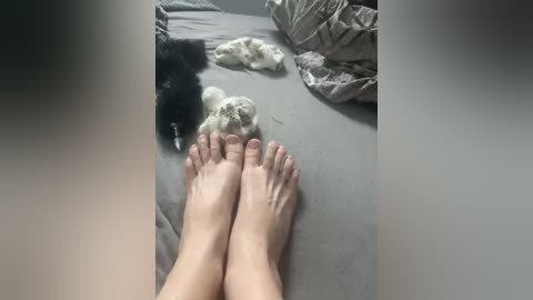 alissalexx free recording from 2025-12-07 00:33:00