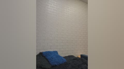 goriglaz free recording from 2025-12-07 00:23:00