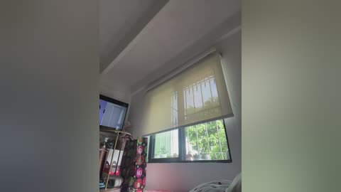 sallyeleins free recording from 2025-12-07 13:59:00