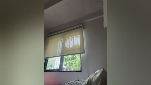 sallyeleins free recording from 2025-12-07 14:10:00