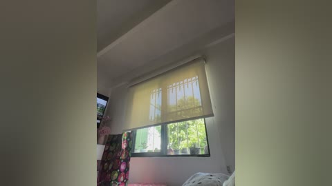 sallyeleins free recording from 2025-12-07 14:52:00