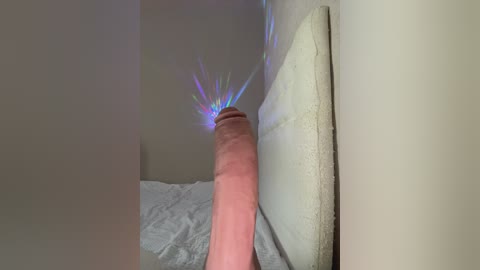 _hennessy_ free recording from 2025-12-08 08:17:00