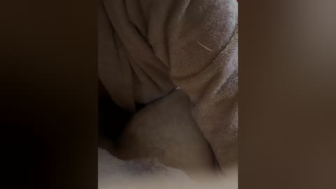 dualdesire0405 free recording from 