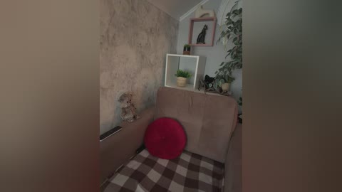 _bastet_ free recording from 2025-12-10 17:30:00