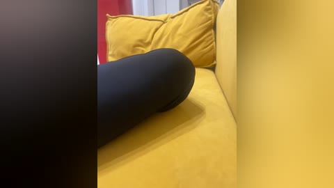 davit1 free recording from 2025-12-11 21:39:00