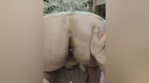 innokentiy449 free recording from 2025-12-11 05:24:00