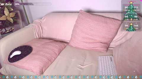 sallyeleins free recording from 2025-12-11 00:00:00