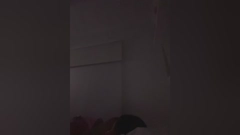 sallyeleins free recording from 2025-12-11 07:25:00