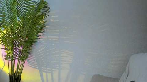 maribett free recording from 2025-12-12 07:53:00