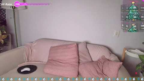 sallyeleins free recording from 2025-12-12 00:01:00