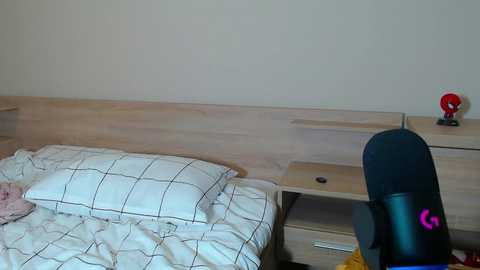 bunnyrin free recording from 2025-12-13 11:33:00