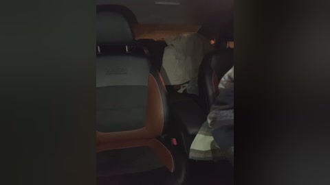 cat_meowa free recording from 2025-12-13 01:43:00