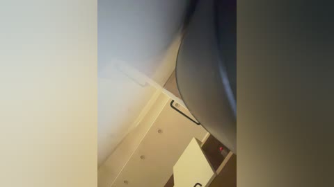 tvoyasamka77 free recording from 2025-12-13 19:30:00