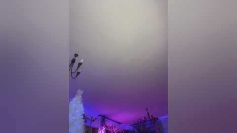 _annamaria_ free recording from 2025-12-14 17:18:00