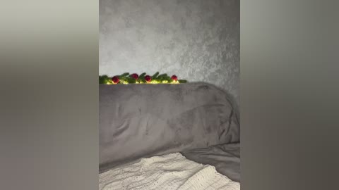 jennydooley free recording from 2025-12-14 20:06:00