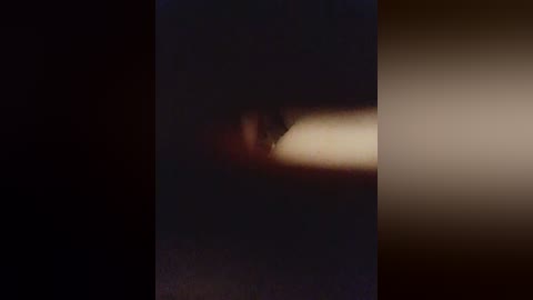 purpur33 free recording from 2025-12-14 23:11:00