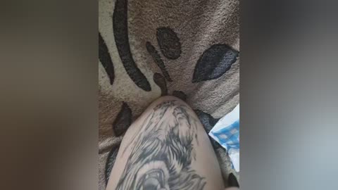 blackpanther1 free recording from 2025-12-15 20:34:00