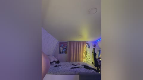 _maybebaby_ free recording from 2025-12-17 13:36:00