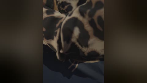 qwerty95777_1 free recording from 2025-12-17 21:27:00