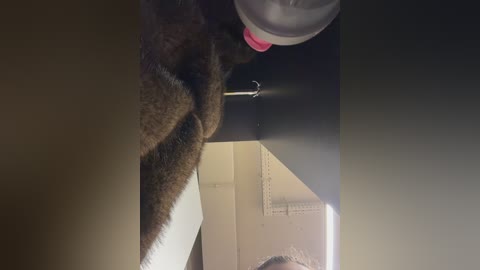 sasha_orlova free recording from 2025-12-17 13:27:00