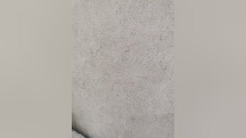 angelia22 free recording from 2025-12-18 14:07:00