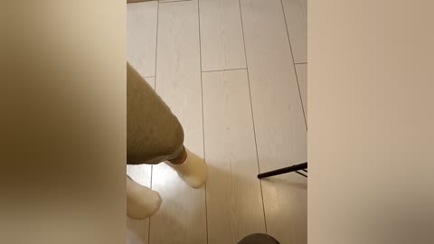 gerda_and_kai free recording from 2025-12-19 00:08:00