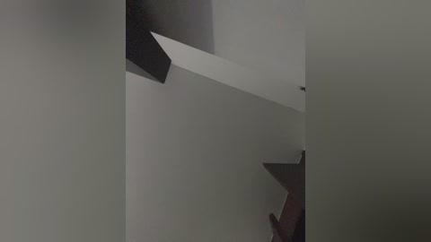 sallyeleins free recording from 2025-12-19 02:45:00