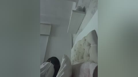 sallyeleins free recording from 2025-12-19 07:15:00