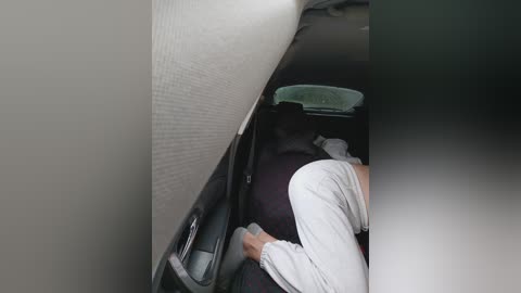 _pypsiki_ free recording from 2025-12-21 06:50:00