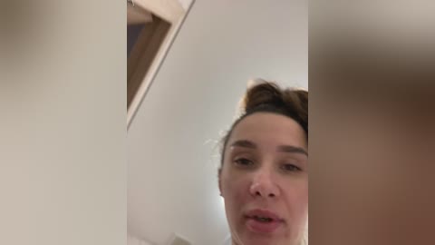 cat_meowa free recording from 2025-12-21 22:03:00